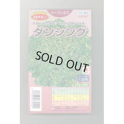 画像1: 送料無料　[レタス]　ダンシング　ペレット130粒　タキイ種苗(株)