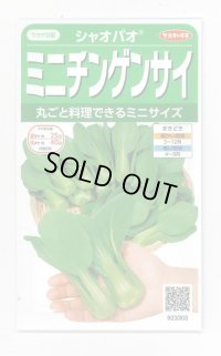 送料無料　[中国野菜]　シャオパオ(ミニチンゲンサイ)　約500粒　(株)サカタのタネ　実咲350（002992）