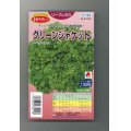 レタス グリーンジャケット ペレット 130粒 タキイ育成 野菜種 レタス グリーンロフトネモト直営