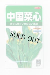 送料無料　[葉物]　中国菜心　約2200粒　(株)サカタのタネ　実咲250（002997）