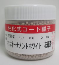 送料無料　カリフラワー　]　オーナメントホワイト　ペレット5000粒　(株)サカタのタネ