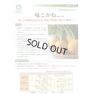 画像3: 送料無料　[かぶ]　味こがね　2.5ml(およそ980粒)　丸種(株)