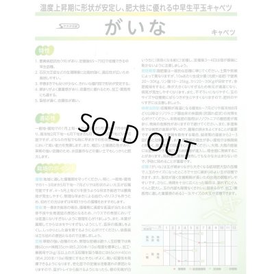 画像3: 送料無料　[キャベツ]　がいな　2000粒　（株）サカタのタネ