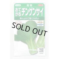 送料無料　[中国野菜]　チンゲンサイ　青帝チンゲンサイ　約500粒　(株)サカタのタネ　実咲350（002991）