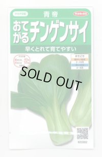 送料無料　[中国野菜]　チンゲンサイ　青帝チンゲンサイ　約500粒　(株)サカタのタネ　実咲350（002991）