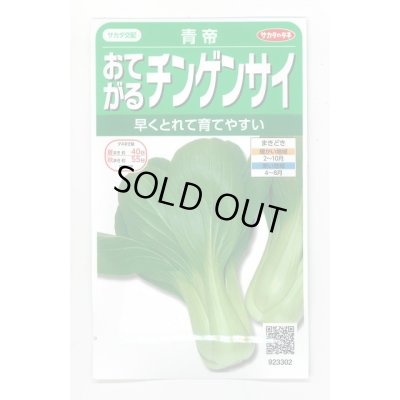 画像1: 送料無料　[中国野菜]　チンゲンサイ　青帝チンゲンサイ　約500粒　(株)サカタのタネ　実咲350（002991）