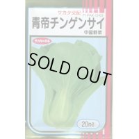 送料無料　[中国野菜]　チンゲンサイ　青帝チンゲンサイ　20ml(2024年5％増量)　(株)サカタのタネ