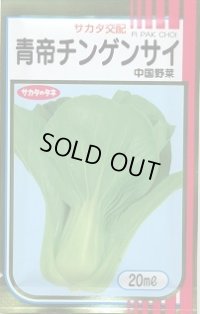 送料無料　[中国野菜]　チンゲンサイ　青帝チンゲンサイ　20ml(2024年5％増量)　(株)サカタのタネ