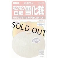 送料無料　[かぼちゃ]　雪化粧　約8粒　(株)サカタのタネ　実咲450（002868）