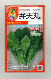 送料無料　[ほうれんそう]　弁天丸　40ml　タキイ種苗　RF