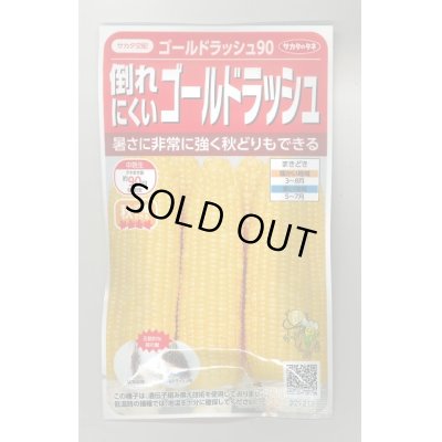 画像1: 送料無料　[とうもろこし]　ゴールドラッシュ90　約55粒　(株)サカタのタネ　実咲450（002890）