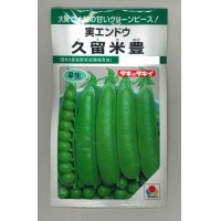 送料無料　[グリーンピース]　久留米豊　18ml(およそ30粒)　タキイ種苗　GF