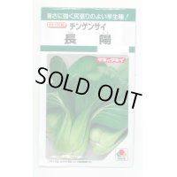 送料無料　[中国野菜]　チンゲンサイ　長陽　2.7ml　タキイ種苗(株)　GF