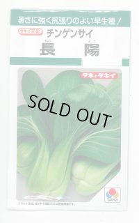 送料無料　[中国野菜]　チンゲンサイ　長陽　2.7ml　タキイ種苗(株)　GF