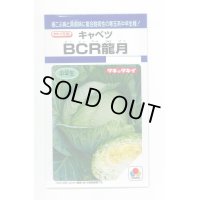 送料無料　[キャベツ]　ＢＣＲ龍月　160粒　タキイ種苗(株)　DF