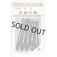 送料無料　[なす]　庄屋大長　200粒　タキイ種苗(株)