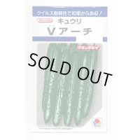 送料無料　[キュウリ]　Ｖアーチ　10粒　タキイ種苗(株)　DF