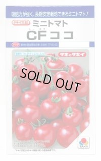 送料無料　[トマト/ミニトマト]　CFココ　16粒　タキイ種苗　DF