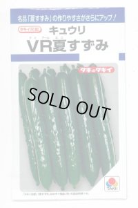 送料無料　[キュウリ]　ＶＲ夏すずみ　13粒　タキイ種苗(株)　DF