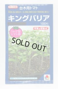 送料無料　[台木/トマト用]　キングバリア　1000粒　タキイ種苗(株)