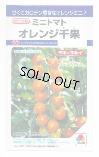 送料無料　[トマト/ミニトマト]　オレンジ千果　小袋(16粒)　タキイ種苗(株)　DF