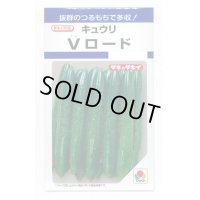 送料無料　[キュウリ]　Vロード　10粒　タキイ種苗(株)　DF