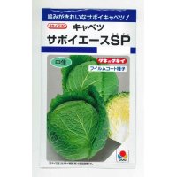 送料無料　[キャベツ]　サボイエースSP　160粒　タキイ種苗(株)　DF