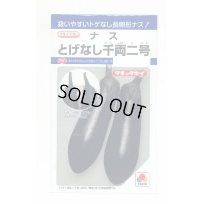 画像1: 送料無料　[なす]　とげなし千両二号　35粒　タキイ種苗(株)　DF