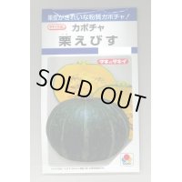 送料無料　[かぼちゃ]　栗えびす　19粒　タキイ種苗(株)　DF