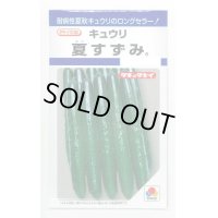 送料無料　[キュウリ]　夏すずみ　15粒　タキイ種苗(株)　DF