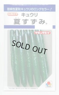 送料無料　[キュウリ]　夏すずみ　15粒　タキイ種苗(株)　DF