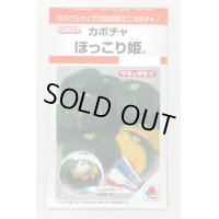 送料無料　[かぼちゃ]　ほっこり姫　9粒　タキイ種苗(株)　RF