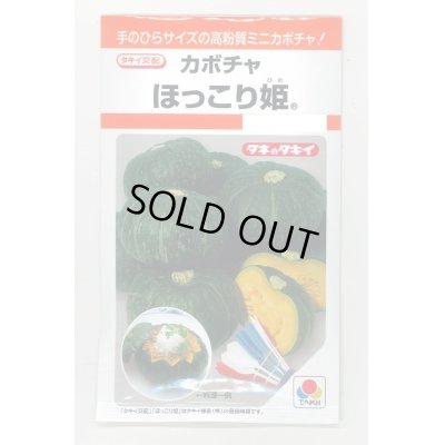 画像1: 送料無料　[かぼちゃ]　ほっこり姫　9粒　タキイ種苗(株)　RF