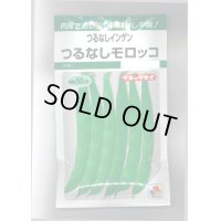 送料無料　[いんげん]　つるなし　モロッコ　50ml　タキイ種苗　GF