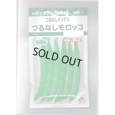 画像1: 送料無料　[いんげん]　つるなし　モロッコ　50ml　タキイ種苗　GF