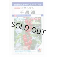 送料無料　[トマト/ミニトマト]　千果99　12粒　タキイ種苗(株)　DF