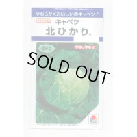 送料無料　[キャベツ]　北ひかり　1.8ml　タキイ種苗(株)　DF