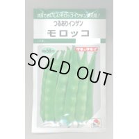 送料無料　[いんげん]　モロッコ　45ml　タキイ種苗(株)　GF