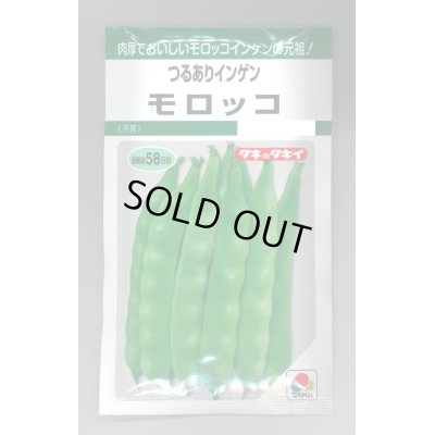 画像1: 送料無料　[いんげん]　モロッコ　45ml　タキイ種苗(株)　GF