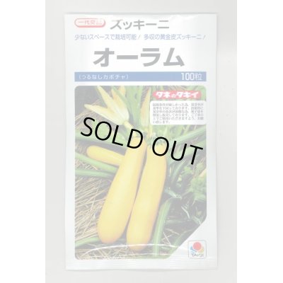 画像1: 送料無料　[ズッキーニ]　オーラム　100粒　タキイ一代交配