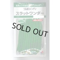 送料無料　[いんげん]　つるあり　スラットワンダー　45ml　タキイ種苗　GF