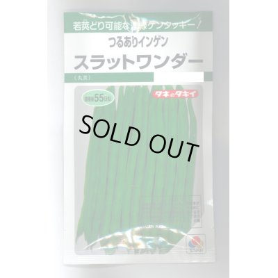 画像1: 送料無料　[いんげん]　つるあり　スラットワンダー　45ml　タキイ種苗　GF