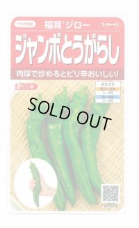 送料無料　[トウガラシ]　福耳ジロー　約25粒　(株)サカタのタネ　実咲400（003730）