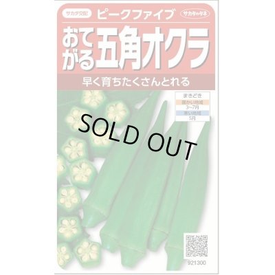 画像1: 送料無料　[オクラ]　ピークファイブ　約60粒　(株)サカタのタネ　実咲350（002899）