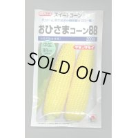 送料無料　[とうもろこし]　おひさまコーン88　200粒　タキイ種苗(株)