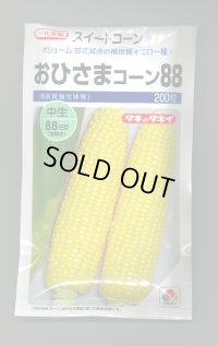 送料無料　[とうもろこし]　おひさまコーン88　200粒　タキイ種苗(株)