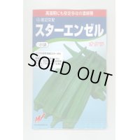 送料無料　[オクラ]　スターエンゼル　45粒　渡辺交配