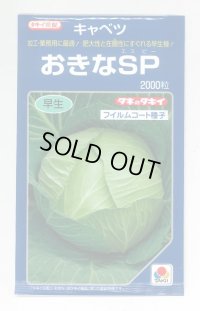 送料無料　[キャベツ]　おきなSP　2000粒　貴種(コートしてません)　タキイ種苗(株)