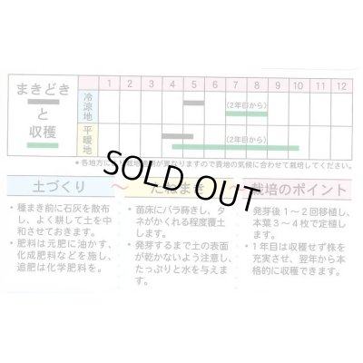 画像3: 送料無料　[葉物]　アシタバ　4ml　(株)タカヤマシード