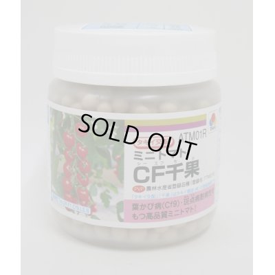 画像1: 送料無料　[トマト/ミニトマト]　CF千果　1000粒2L　ペレット種子　タキイ種苗(株)